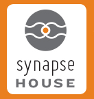 synapse